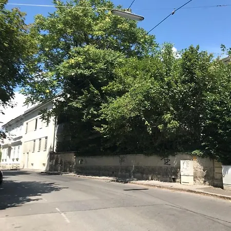 Tamliving Zentrum Ruhe Wifi Kueche Grosse Terrasse Internettv Apartment *